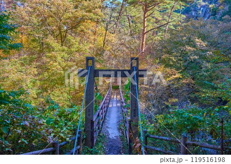 秋の山梨県甲府市 昇仙峡の遊歩道から荒川に架かる有明橋を見る 119516198