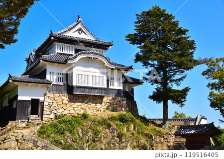 備中松山城　 119516405