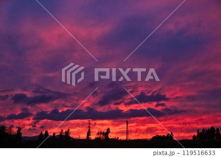 夕焼け 119516633