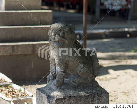 神社の小さな狛犬 神社の小さな狛犬 119516761