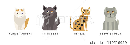 Different Cat Breed as Domestic Pet in Sitting Pose with Name Vector Set Different Cat Breed as Domestic Pet in Sitting Pose with Name Vector Set 119516939