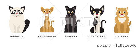 Different Cat Breed as Domestic Pet in Sitting Pose with Name Vector Set Different Cat Breed as Domestic Pet in Sitting Pose with Name Vector Set 119516946