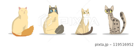 Different Cat Breed as Domestic Pet in Sitting Pose Vector Set 119516952