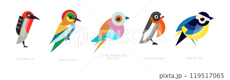 Different Bird Flat Icon with Name Vector Set 119517065
