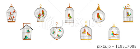 Colorful Bird Perching in Cage with Metal Wire Vector Set 119517088