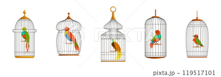 Colorful Bird Perching in Cage with Metal Wire Vector Set 119517101