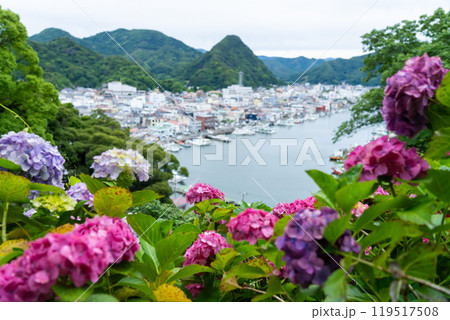 紫陽花祭りの下田公園 119517508