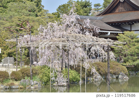 平安神宮の貴賓舘 119517686