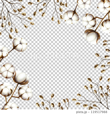 Frame with cotton flower branches and dried berries. Watercolor hand drawn white fluffy clipart isolated on transparent background. Christmas, winter and wedding illustration. For designers 119517988