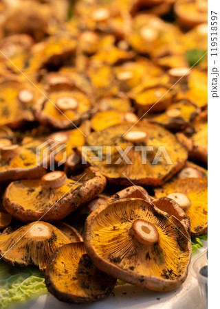 Fresh mushrooms scattered on the counter Fresh mushrooms scattered on the counter 119518597