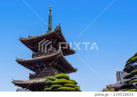 臼杵市の龍原寺三重の塔 119518833