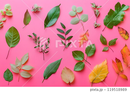 Colorful variety of fresh leaves arranged artistically on a vibrant pink background for a nature 119518989