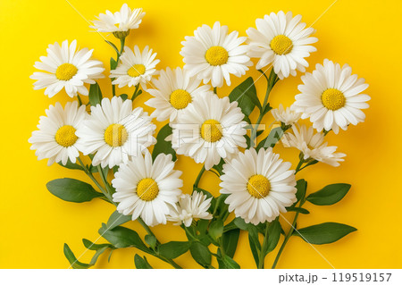 Bright white daisies arranged beautifully against a vibrant yellow background, showcasing nature's 119519157