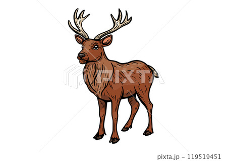 Reindeer Christmas sketch in vintage style, engraving, line drawing color. Reindeer Christmas sketch in vintage style, engraving, line drawing color. 119519451