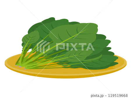 ほうれん草の載った籠の皿のイラスト 119519668