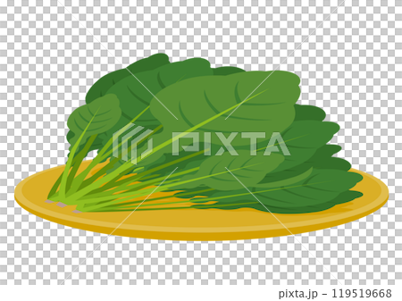 菠菜籃盤插圖 菠菜籃盤插圖 119519668