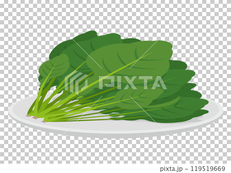 Illustration of a white plate with spinach 119519669
