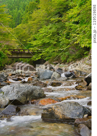 新緑・紅葉・川遊び関西おすすめ観光地 119519898