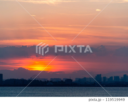 東京湾の海越しに見た東京都心方面の夕景 東京湾の海越しに見た東京都心方面の夕景 119519949
