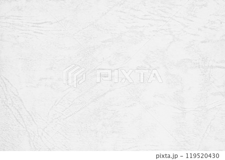 レザー風の紙のテクスチャ 白色 1 レザー風の紙のテクスチャ 白色 1 119520430