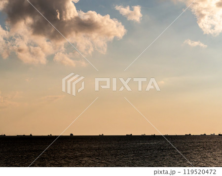夕方の東京湾の景色　沖の貨物船と雲と海 119520472
