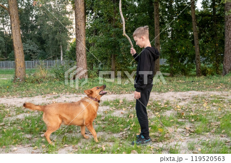 Young Boy Playing Fetch with Loyal Dog in Park 119520563