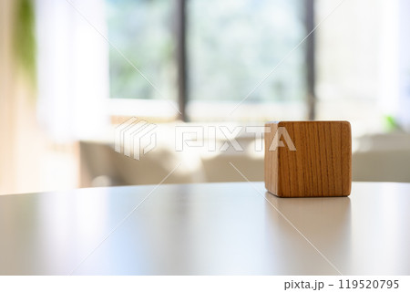 部屋での写真 119520795