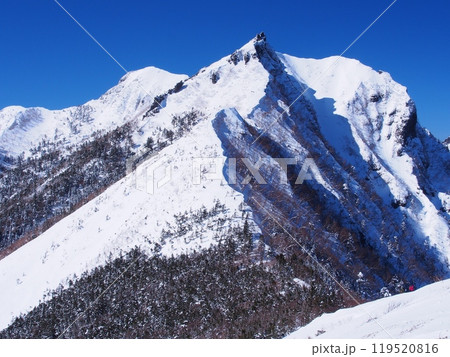 八ヶ岳・三ッ頭から望む冬の権現岳 119520816