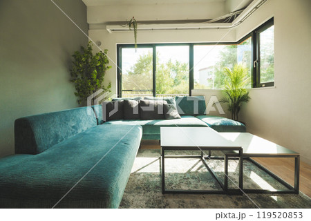 部屋での写真 部屋での写真 119520853
