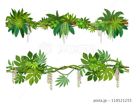 Tropical jungle forest liana branch with flowers. Cartoon vector vines with hanging blossoms. Tree, plant thicket, rainforest climbing roots, leaves, green foliage spinney. Amazon or african nature 119521255