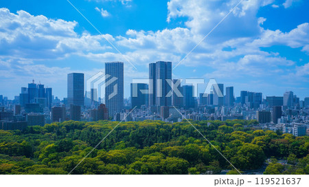 青空の下の都心と広大な公園 青空の下の都心と広大な公園 119521637