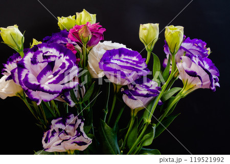 カラフルなトルコキキョウの花束 119521992