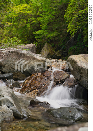 新緑・紅葉・川遊び関西おすすめ観光地 119522299