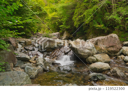 新緑・紅葉・川遊び関西おすすめ観光地 119522300