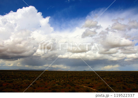 Central Sonora Desert Arizona 119522337