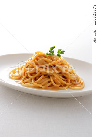 クリームソースを使ったレストランのパスタ クリームソースを使ったレストランのパスタ 119523578