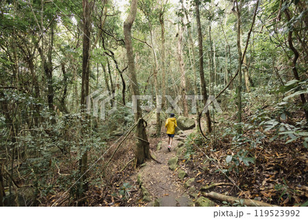 山を走る子供 119523992