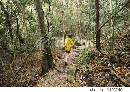 山を走る子供 119524044