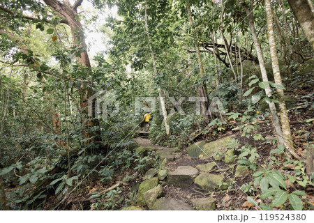 トレイルランニングをする男の子 トレイルランニングをする男の子 119524380