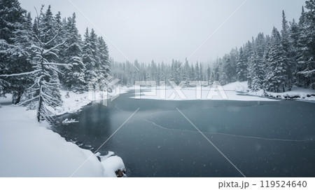 Scenic view of a tranquil frozen lake enveloped by snow-covered trees during a gentle snowfall 119524640