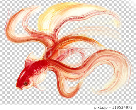 水彩金魚01_1 水彩金魚01_1 119524972