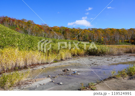 ニセコ湯本温泉・大湯沼のとなりにある水たまり?(蘭越町) ニセコ湯本温泉・大湯沼のとなりにある水たまり?(蘭越町) 119524991