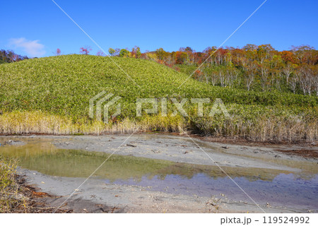 ニセコ湯本温泉・大湯沼のとなりにある水たまり？（蘭越町） 119524992
