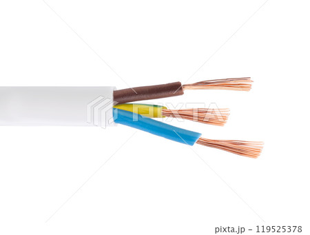 Exposed Copper Electrical Wires on White 119525378