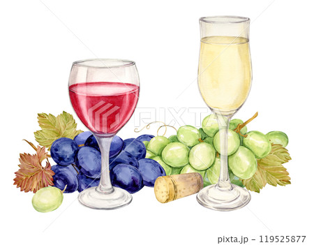 Glasses with red and white wine, green and blue grapes. Illustration of a bunch of grapes with berries and leaves lying on a table. Clipart for wine labels, winery, restaurant, tasting, wine list. 119525877