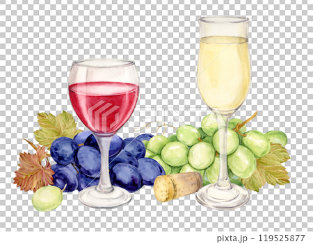 Glasses with red and white wine, green and blue grapes. Illustration of a bunch of grapes with berries and leaves lying on a table. Clipart for wine labels, winery, restaurant, tasting, wine list. 119525877