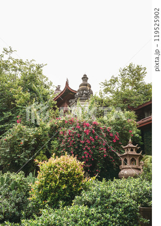 street with old town Hang pagoda, Chau Doc, An Giang 119525902