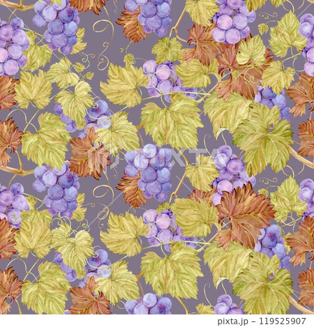 Seamless background with grapevine. Watercolor lilac autumn grape berries and leaves. Illustrations for wine label design, grape juice, restaurant menu and for grape festival decoration. Seamless background with grapevine. Watercolor lilac autumn grape berries and leaves. Illustrations for wine label design, grape juice, restaurant menu and for grape festival decoration. 119525907