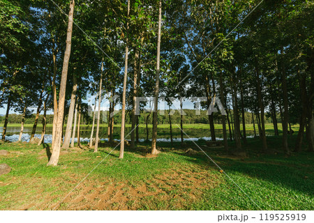 Landscape view   n national park,Phayao ,Thailand 119525919