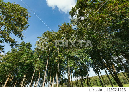 Landscape view n national park,Phayao ,Thailand Landscape view n national park,Phayao ,Thailand 119525938